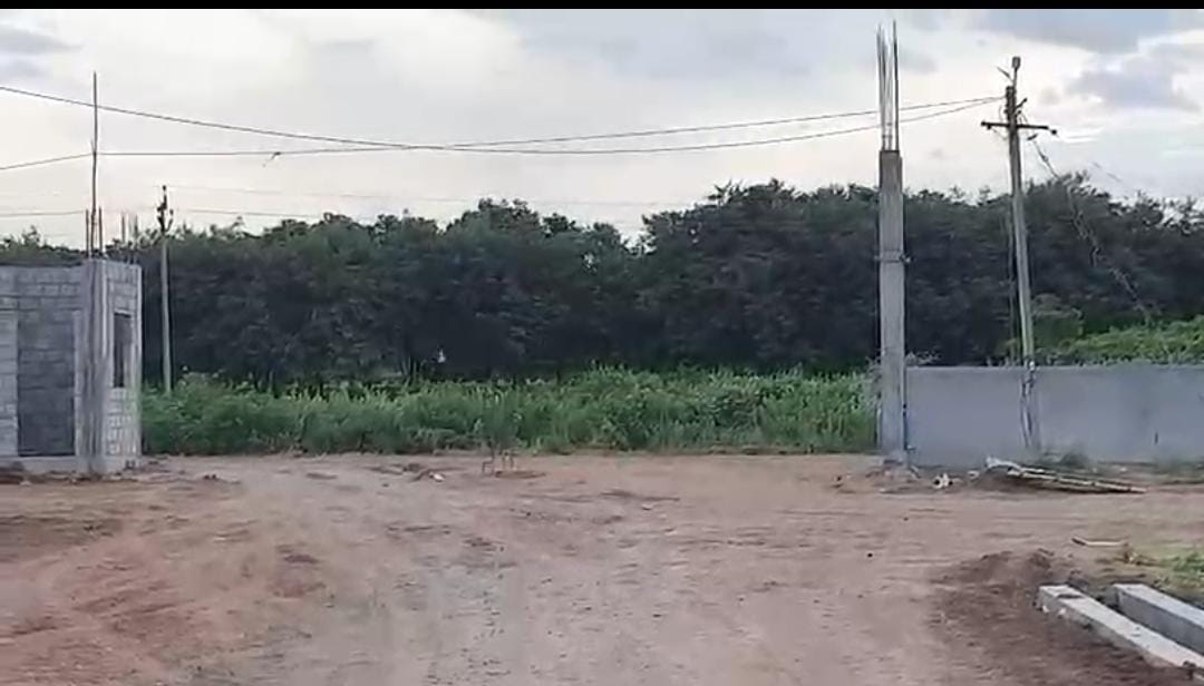 WhatsApp Image 2025-08-29 at 00.20.04